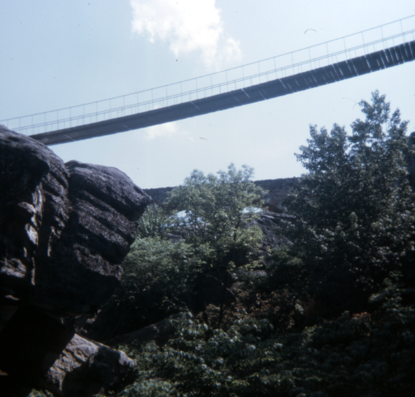 Swinging bridge Rock City
