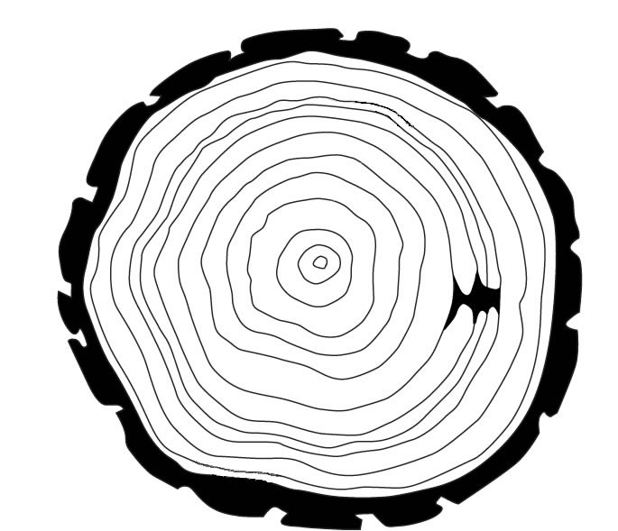 tree-stump-png