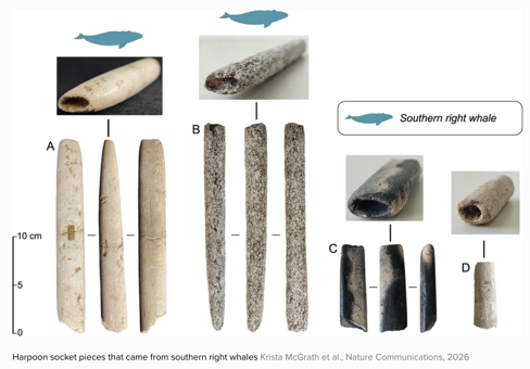 Harpoon socket pieces