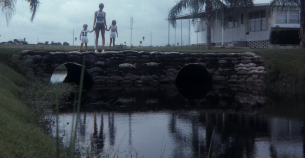 Bridge and culvert