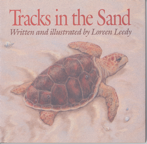 Tracks in the Sand cover