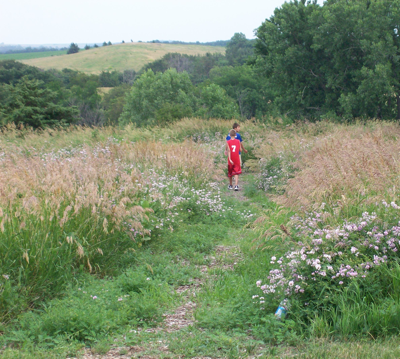 Meadow