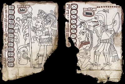 Maya codex pages
