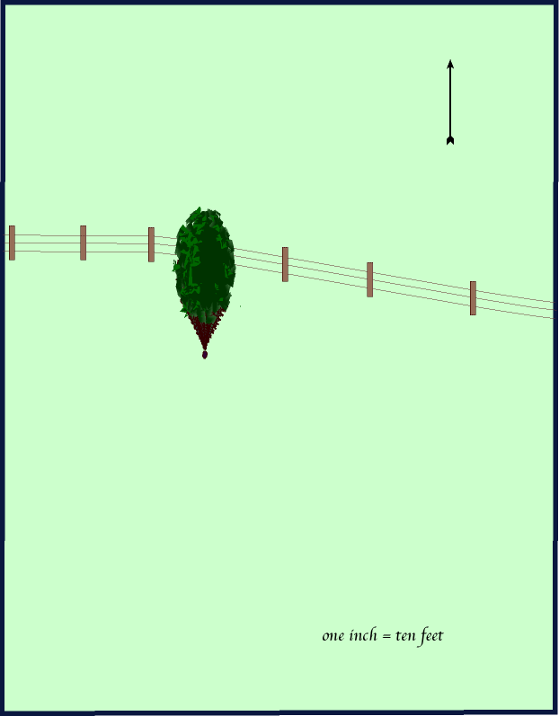 Treasure map