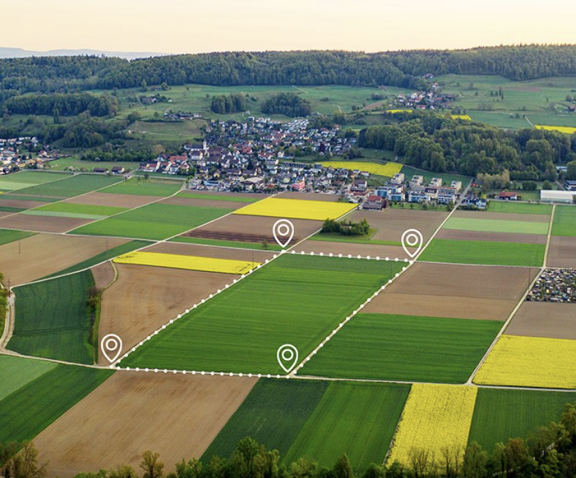 Picture of an acre