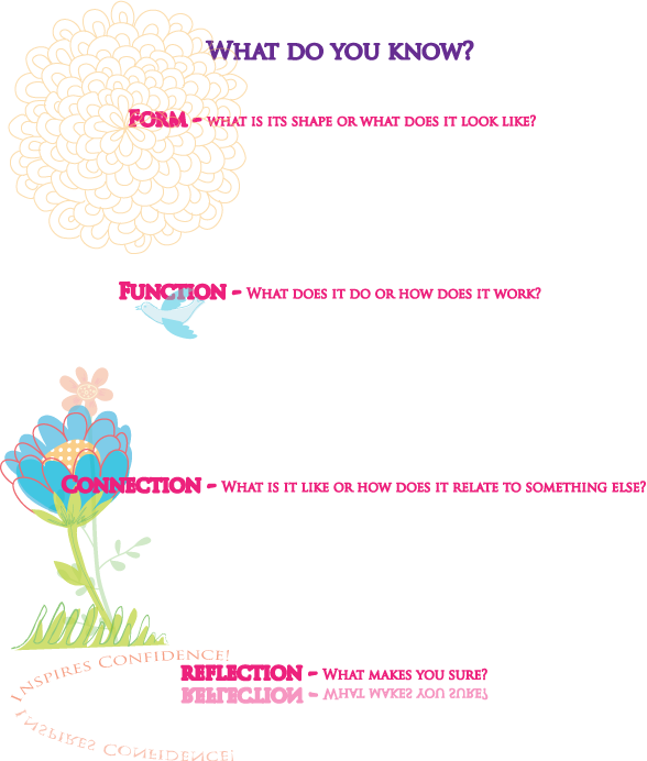 Form, function, connectioin, and reflection work sheet