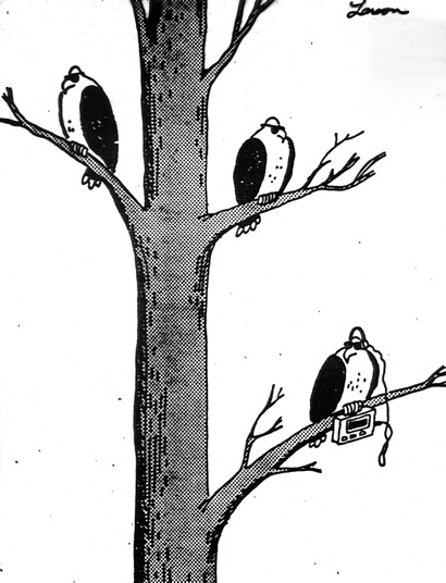individual birds