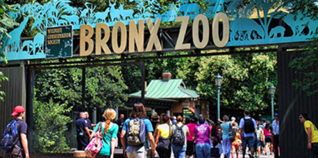 zoo image