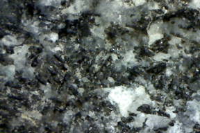 Gabbro rock x 50