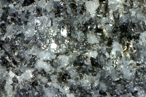 Gabbro rock x 50