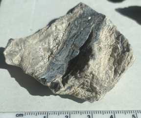 Marble 1