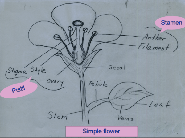 Simple flower