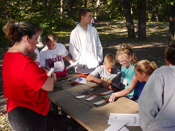 Group matching colors of nature