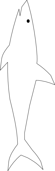 White shark