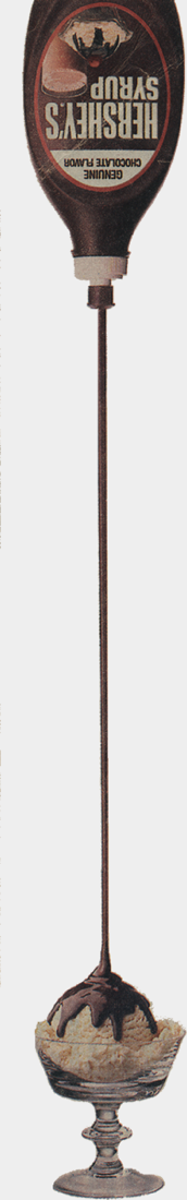 Hersheys bottle image