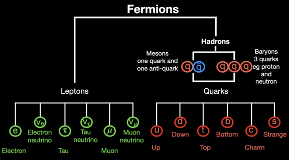 Fermion chart