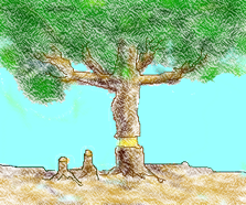 Girdling image