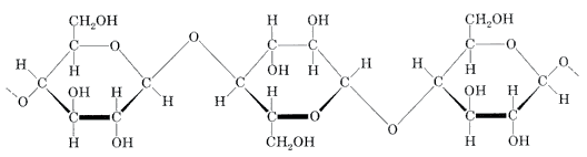 cellulose molecule