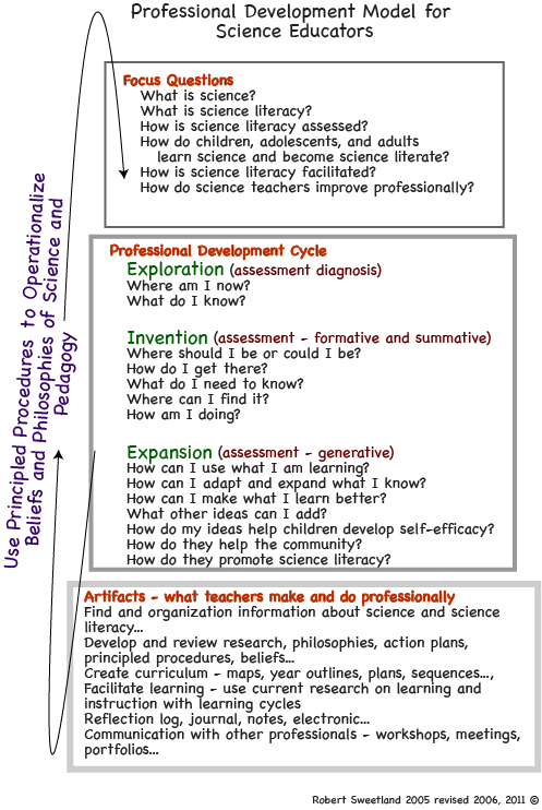 Professional development model image