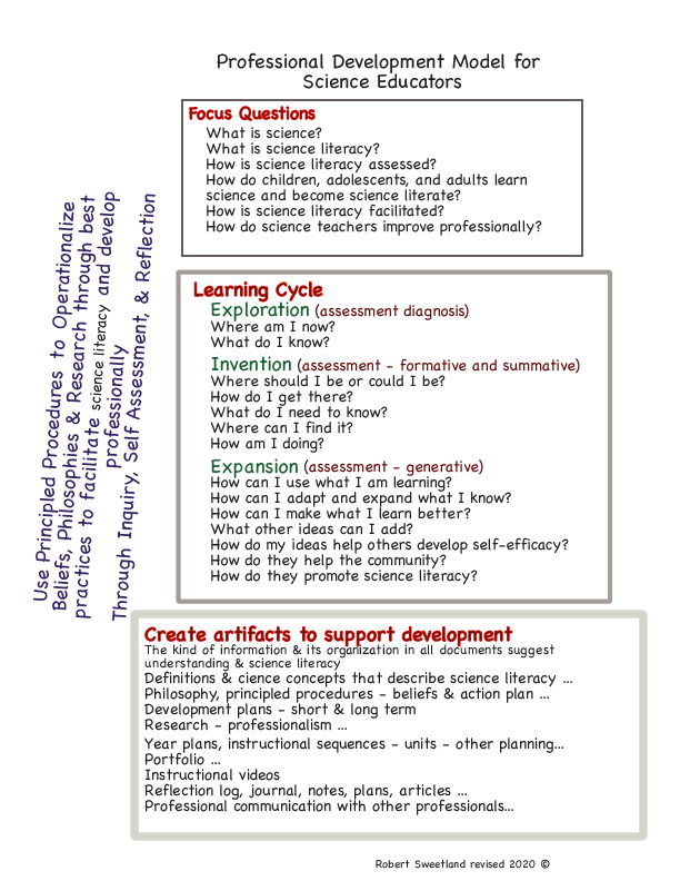 Process of professional development model